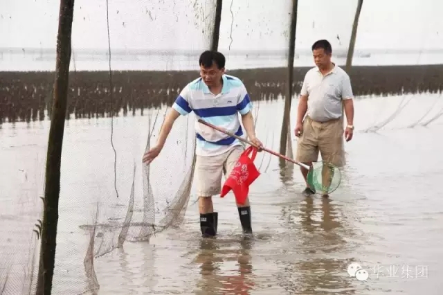 CQ9���ӡ�(�й�)Ψһ�ٷ���վ