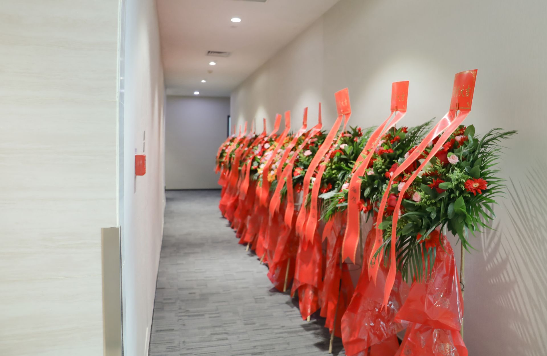 CQ9���ӡ�(�й�)Ψһ�ٷ���վ